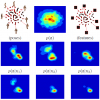 Shared Kernel Information Embedding for Discriminative Inference