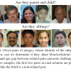 Can faces verify blood-relations?