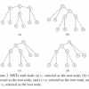 Fast Multiple Shape Correspondence by Pre-Organizing Shape Instances