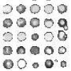 A Bio-inspired Cnn With Re-indexing Engine For Lossless Dna Microarray Compression And Segmentation