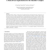 A Data-driven Segmentation for the Shoulder Complex
