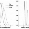 A Method for Reconstructing Label Images From a Few Projections, as Motivated by Electron Microscopy