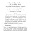 A multi-resolution topological representation for non-manifold meshes
