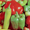 A probabilistic framework for image segmentation