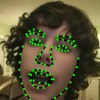 AAM based Face Tracking with Temporal Matching and Face Segmentation