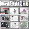 Learning Deformable Action Templates from Crowded Videos