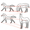 Active Skeleton for Non-rigid Object Detection