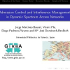 Admission Control and Interference Management in Dynamic Spectrum Access Networks