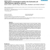Aggregation of topological motifs in the Escherichia coli transcriptional regulatory network