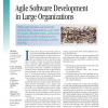 Agile Software Development in Large Organizations