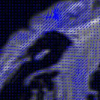 An algebraic solution to rigid registration of diffusion tensor images