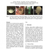 An Approximate Image-Space Approach for Real-Time Rendering of Deformable Translucent Objects