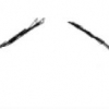 An Efficient Recursive Factorization Method for Determining Structure from Motion