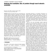 Analysing the localisation sites of proteins through neural networks ensembles