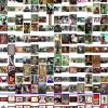 Animals on the Web