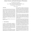 Animat Swarms and Spatial Emergence Phenomena