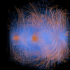 Anisotropic Volume Rendering for Extremely Dense, Thin Line Data