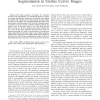 Automated and Interactive Lesion Detection and Segmentation in Uterine Cervix Images