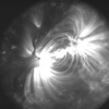 Automated Detection of Solar Loops by the Oriented Connectivity Method