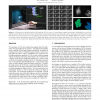 BiDi screen: a thin, depth-sensing LCD for 3D interaction using light fields