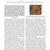 Body torque modulation for a microrobotic fly