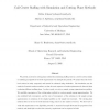 Call Center Staffing with Simulation and Cutting Plane Methods