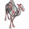 Robust Centerline Extraction Framework Using Level Sets