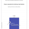 Camera cooperation for achieving visual attention