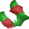Variational Segmentation of Volumetric Elongated Objects