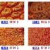 Classification of Textured and Non-Textured Images Using Region Segmentation