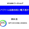 Collusion-Resistant Fingerprinting Scheme Based on the CDMA-Technique