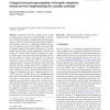 Compact internal representation of dynamic situations: neural network implementing the causality principle
