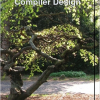 Basics of Compiler Design