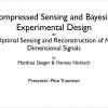 Compressed sensing and Bayesian experimental design