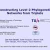 Constructing Level-2 Phylogenetic Networks from Triplets