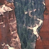 Corner Detection in Textured Color Images