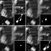 Understanding and evaluating blind deconvolution algorithms
