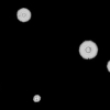 Detecting Virulent Cells of Cryptococcus Neoformans Yeast: Clustering Experiments