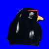 Determining Reflectance Parameters and Illumination Distribution from a Sparse Set of Images for View-dependent Image Synthesis