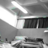 Determining the Radiometric Response Function from a Single Grayscale Image