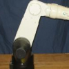 Direct Mapping of Visual Input to Motor Torques
