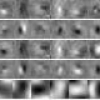 Discriminant Embedding for Local Image Descriptors
