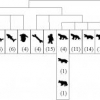 Dominant Sets and Hierarchical Clustering