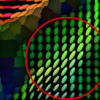 DTI registration with exact finite-strain differential