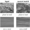 Dynamic Texture Recognition based on Distributions of Spacetime Oriented Structure