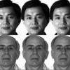 EK-SVD: Optimized dictionary design for sparse representations