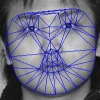 Enforcing convexity for improved alignment with constrained local models