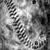 Entropy-of-likelihood Feature Selection for Image Correspondence