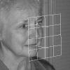 Estimating facial pose from a sparse representation
