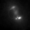Estimation of Dynamic Background for Fluorescence Video-Microscopy
